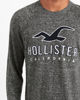 Image sur Sweatshirt Hollister