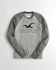 Image sur Sweatshirt Hollister